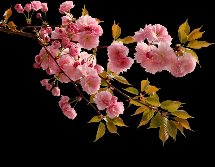 A Branch With Pink Flowers And Green Leaves