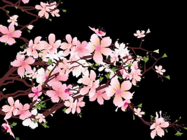 A Branch With Pink Flowers