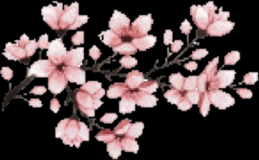 A Pink Flowers On A Black Background