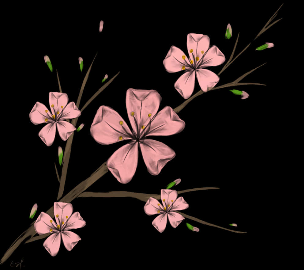 A Drawing Of A Branch With Pink Flowers