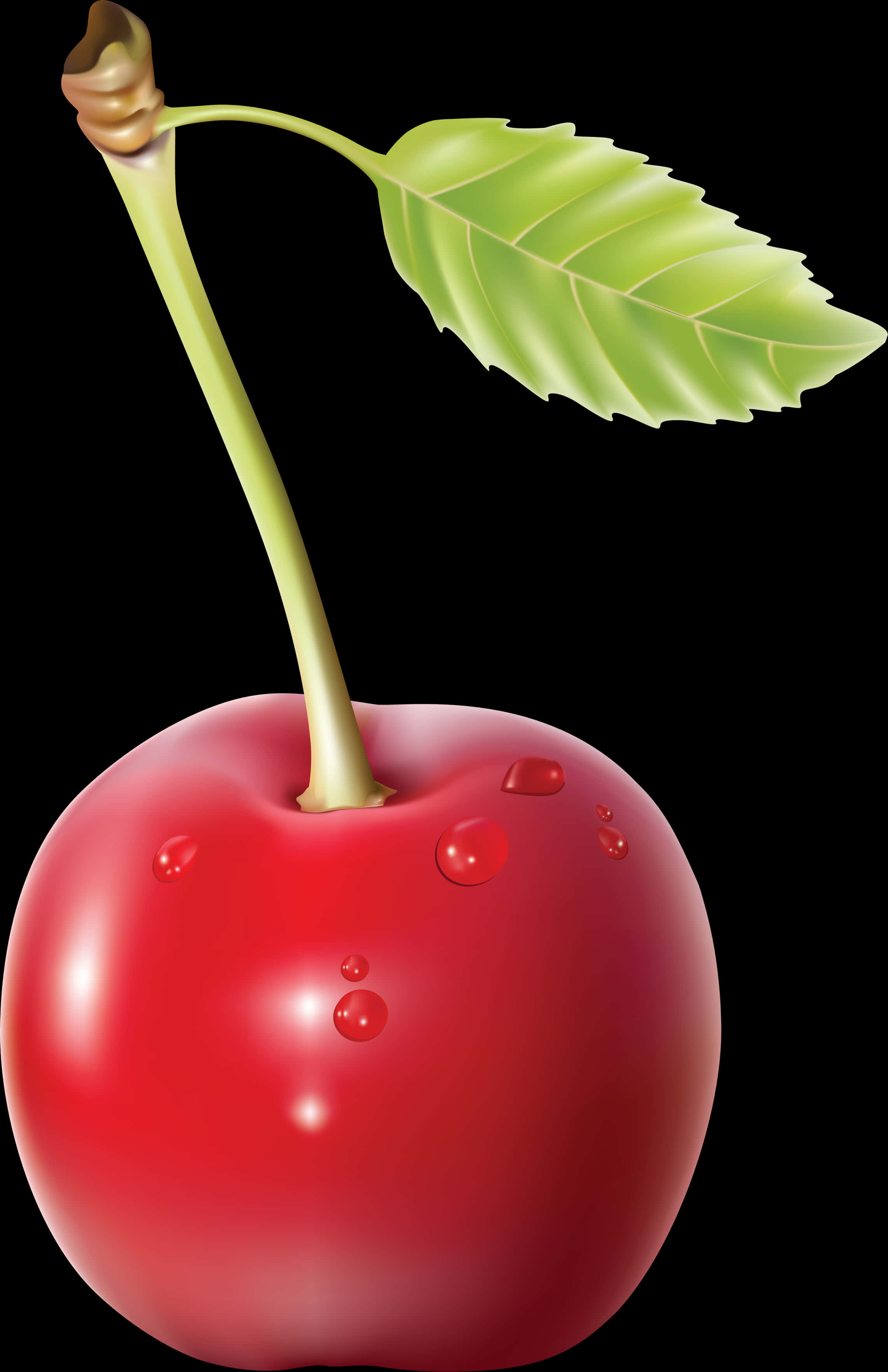 Single Cherry With Leaf