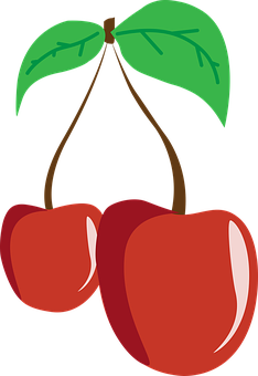 A Pair Of Cherries With Leaves