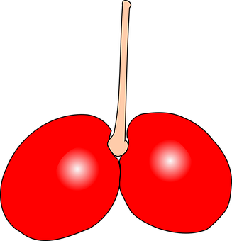 A Red Cherries With A Black Background