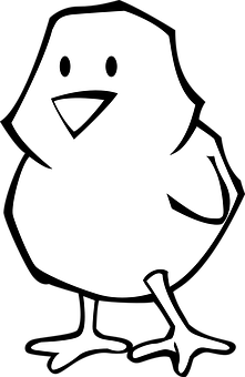 A White Chicken With A Black Background