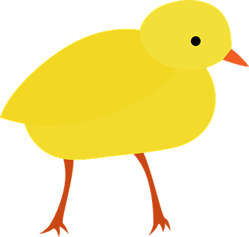 A Yellow Bird With Orange Legs