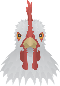 A White And Red Rooster Head