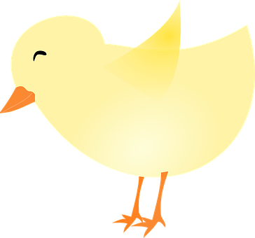 A Yellow Bird With Orange Beak