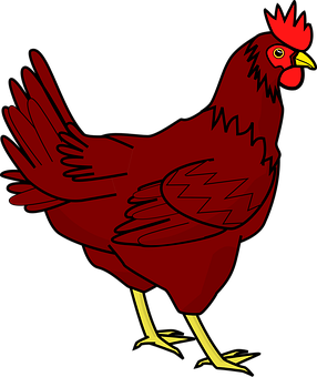 A Red Chicken With Yellow Legs