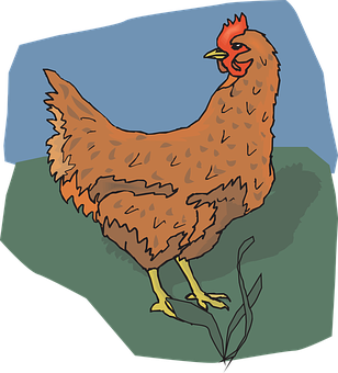 A Chicken Standing On A Green Surface