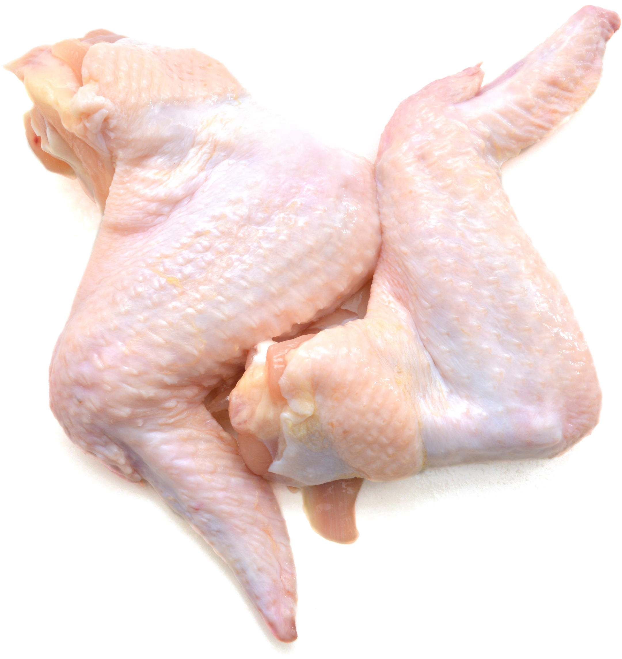 A Close Up Of A Chicken