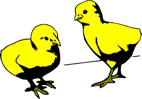 A Pair Of Yellow Chickens