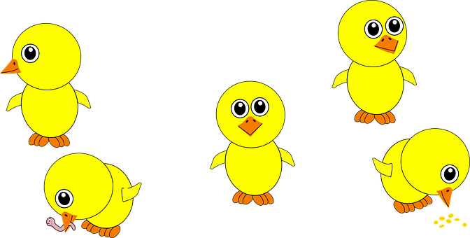 A Group Of Yellow Chicks