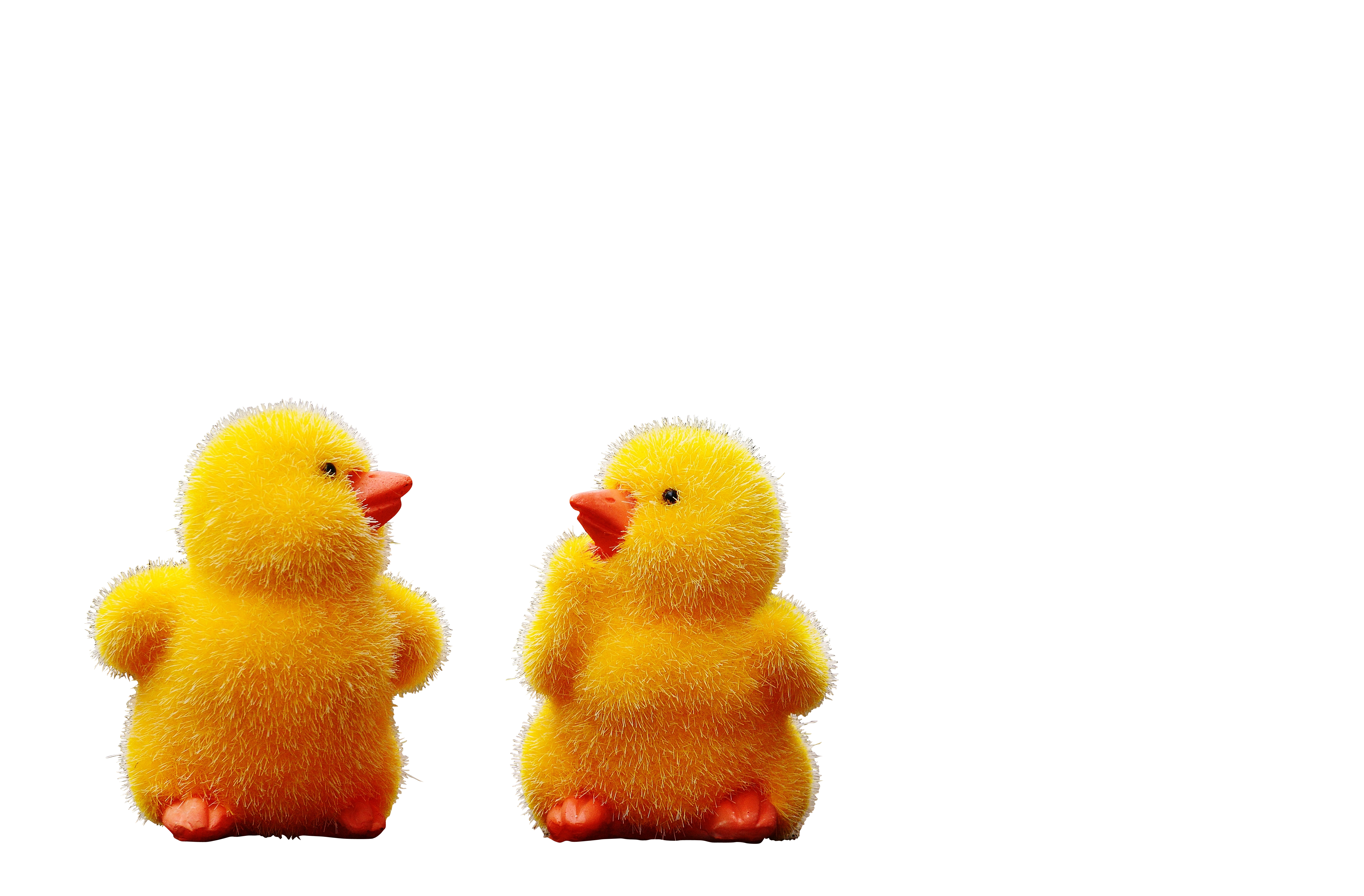 Two Yellow Toy Chickens On A Black Background