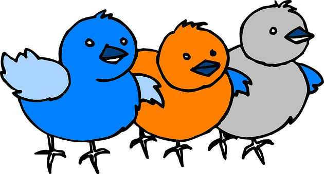 A Group Of Blue Birds