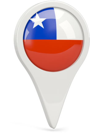 A White Pin With A Red Blue And White Flag