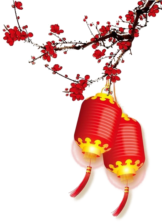 A Red And Yellow Lanterns From A Branch