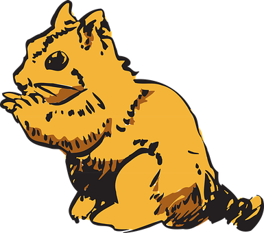 A Yellow Cat With Black Background