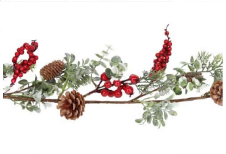 A Branch With Red Berries And Pine Cones