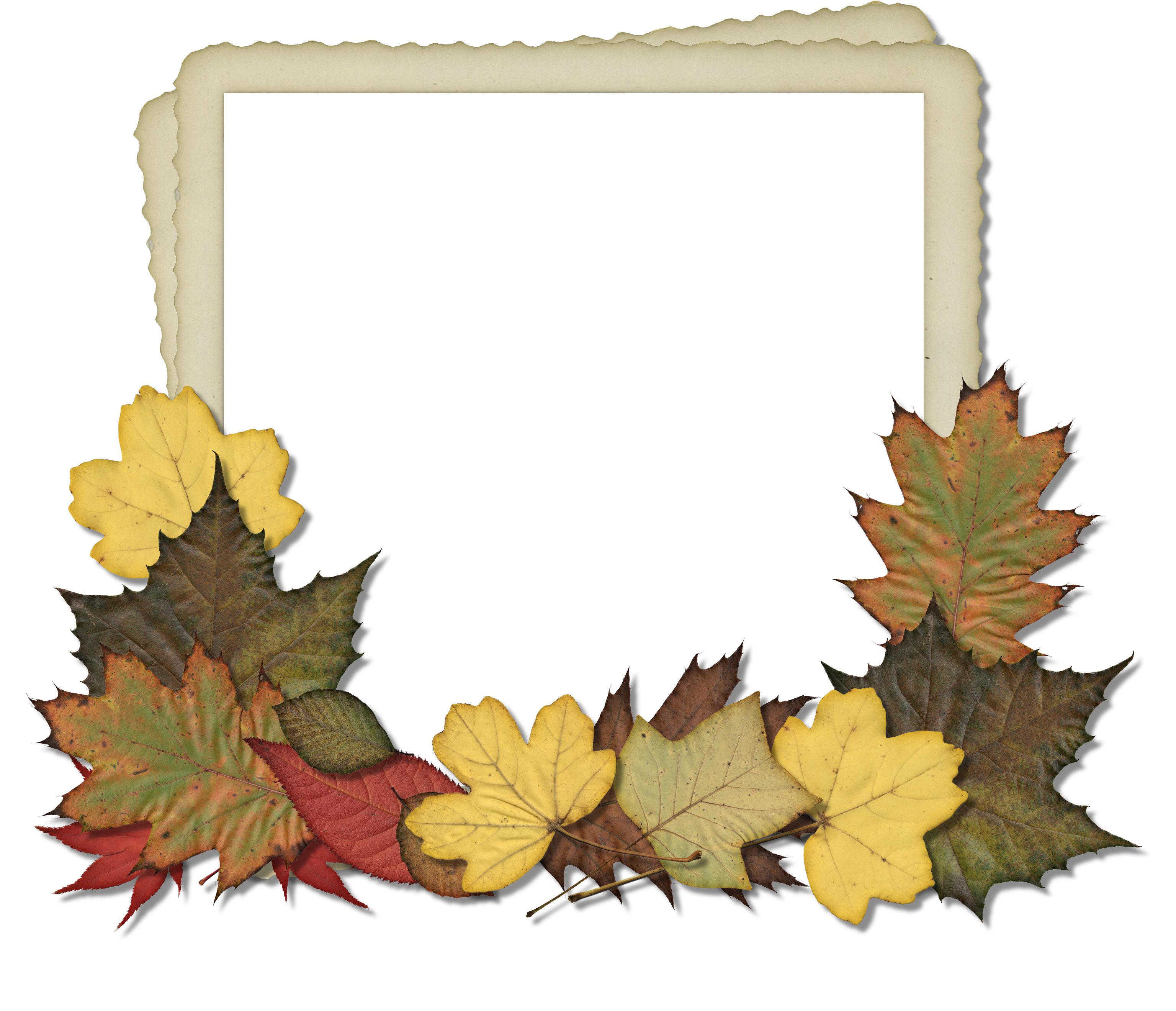 A Frame With Leaves On It