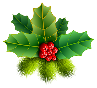 A Holly Berry And Pine Needles