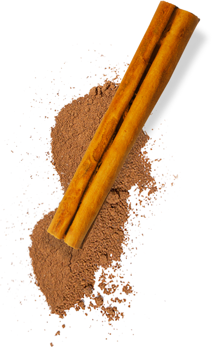 A Cinnamon Sticks On A Pile Of Powder