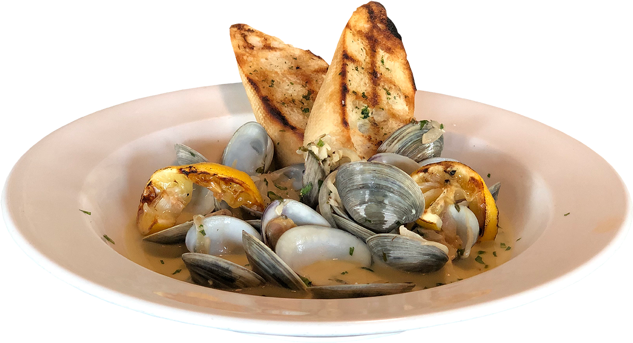 Clam Png 1290 X 699