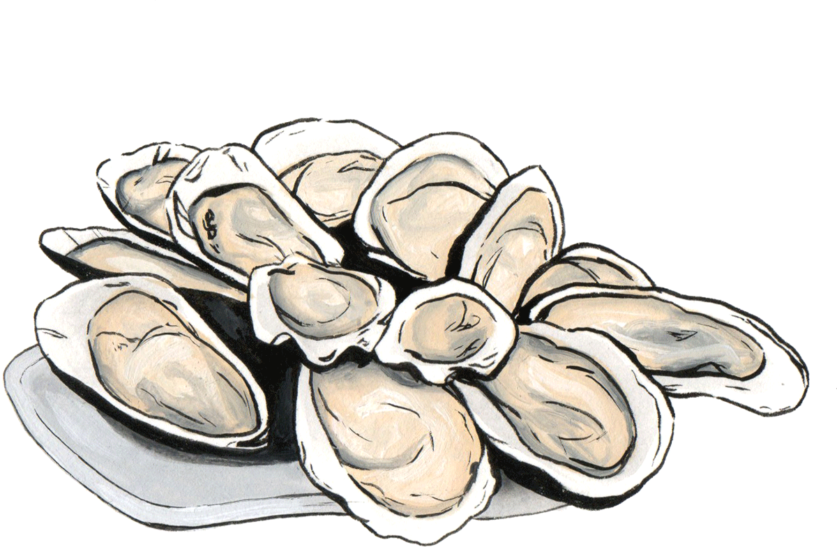Clam Png 1200 X 784