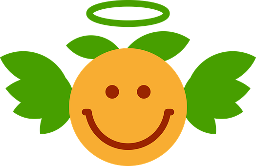 A Smiley Face With Green Leaves And A Halo