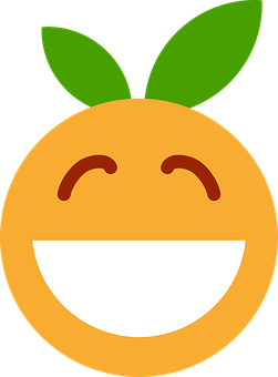 A Cartoon Orange With Green Leaves