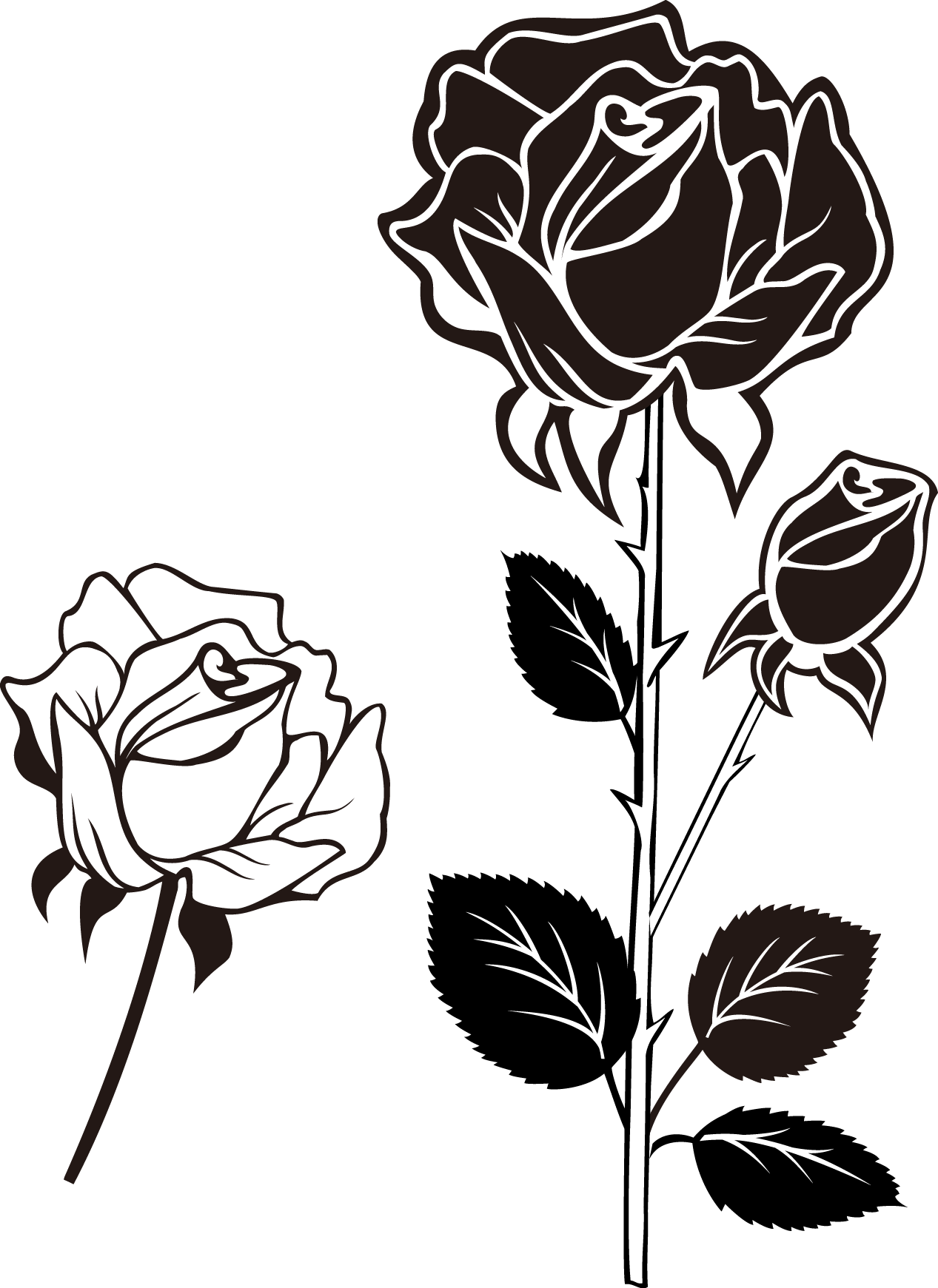 A Black And White Image Of Roses