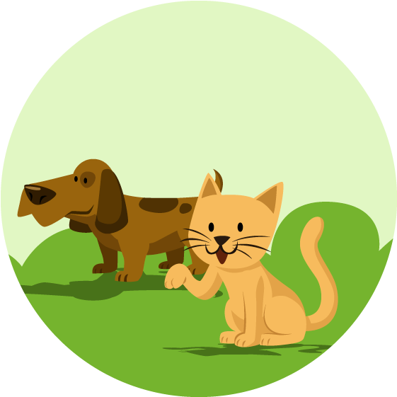 A Cat And Dog In A Circle