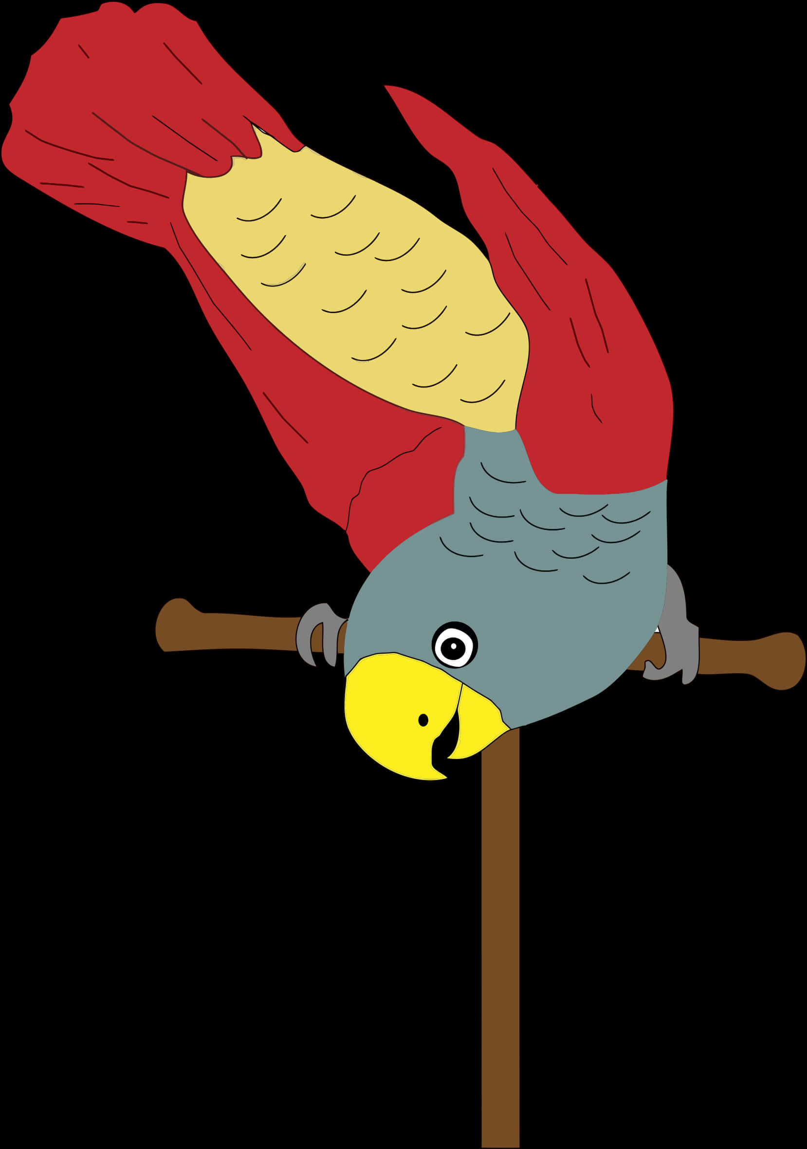 Parrot On Birds Perch