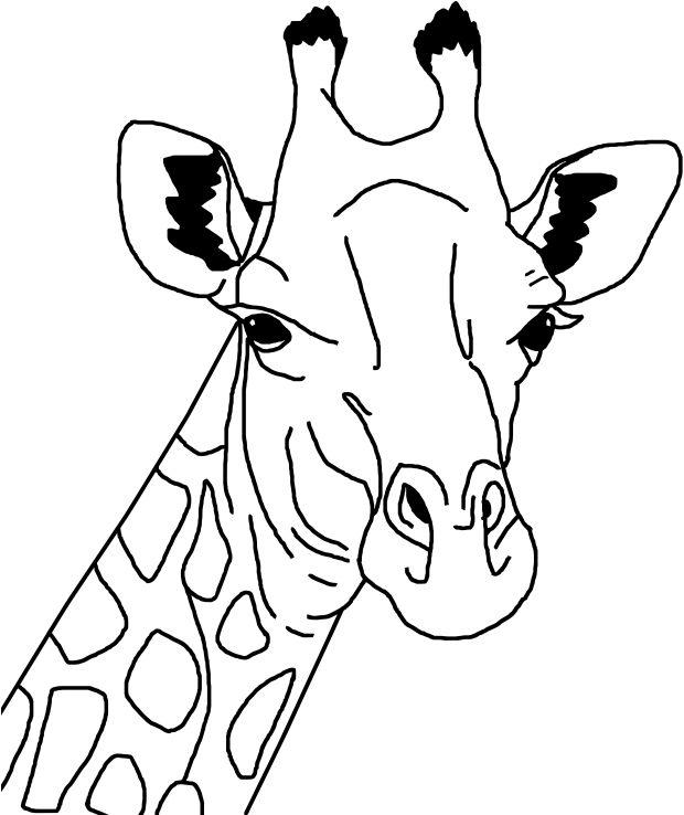 Clipart - Giraffe Coloring Page Head, Hd Png Download