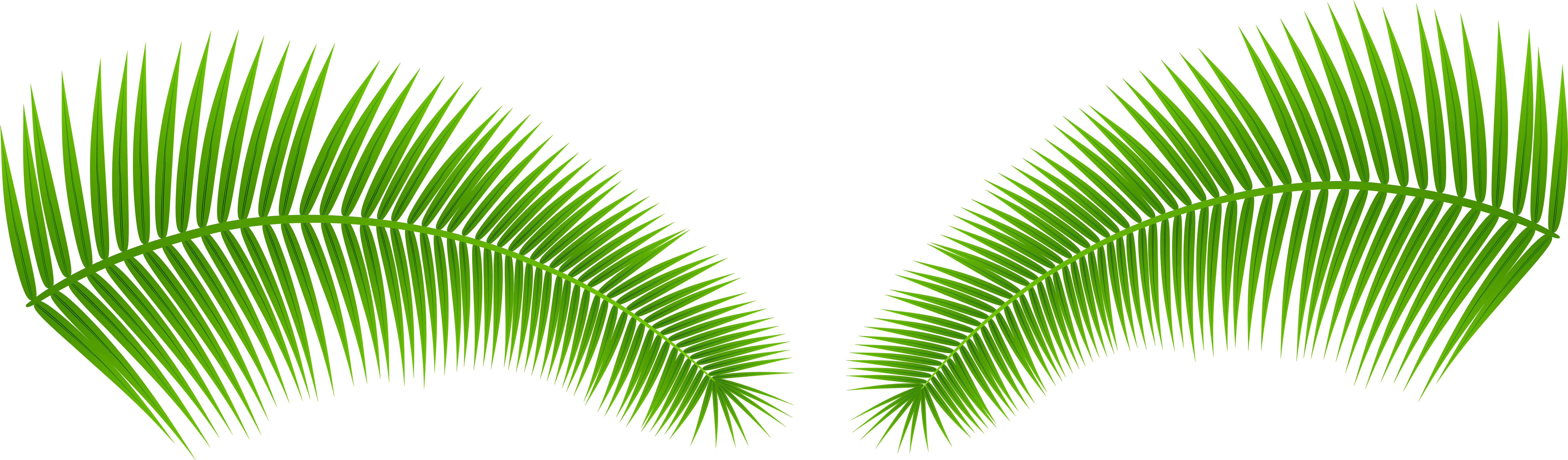 A Pair Of Green Leaves