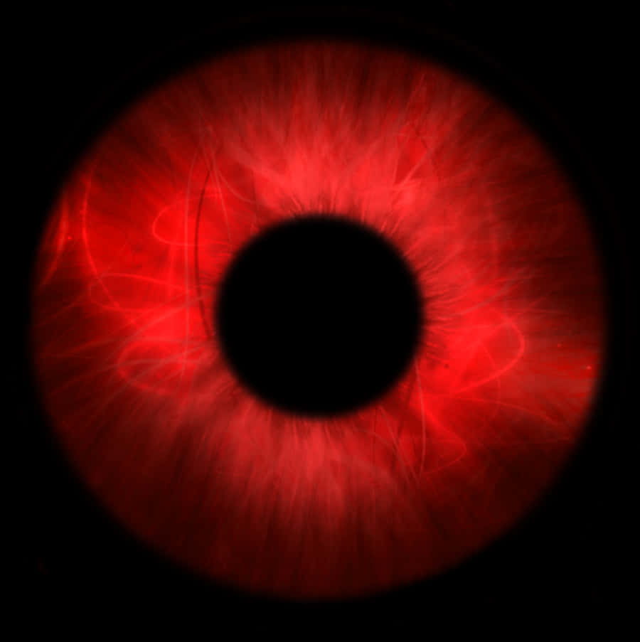 A Red Eyeball With Black Circle