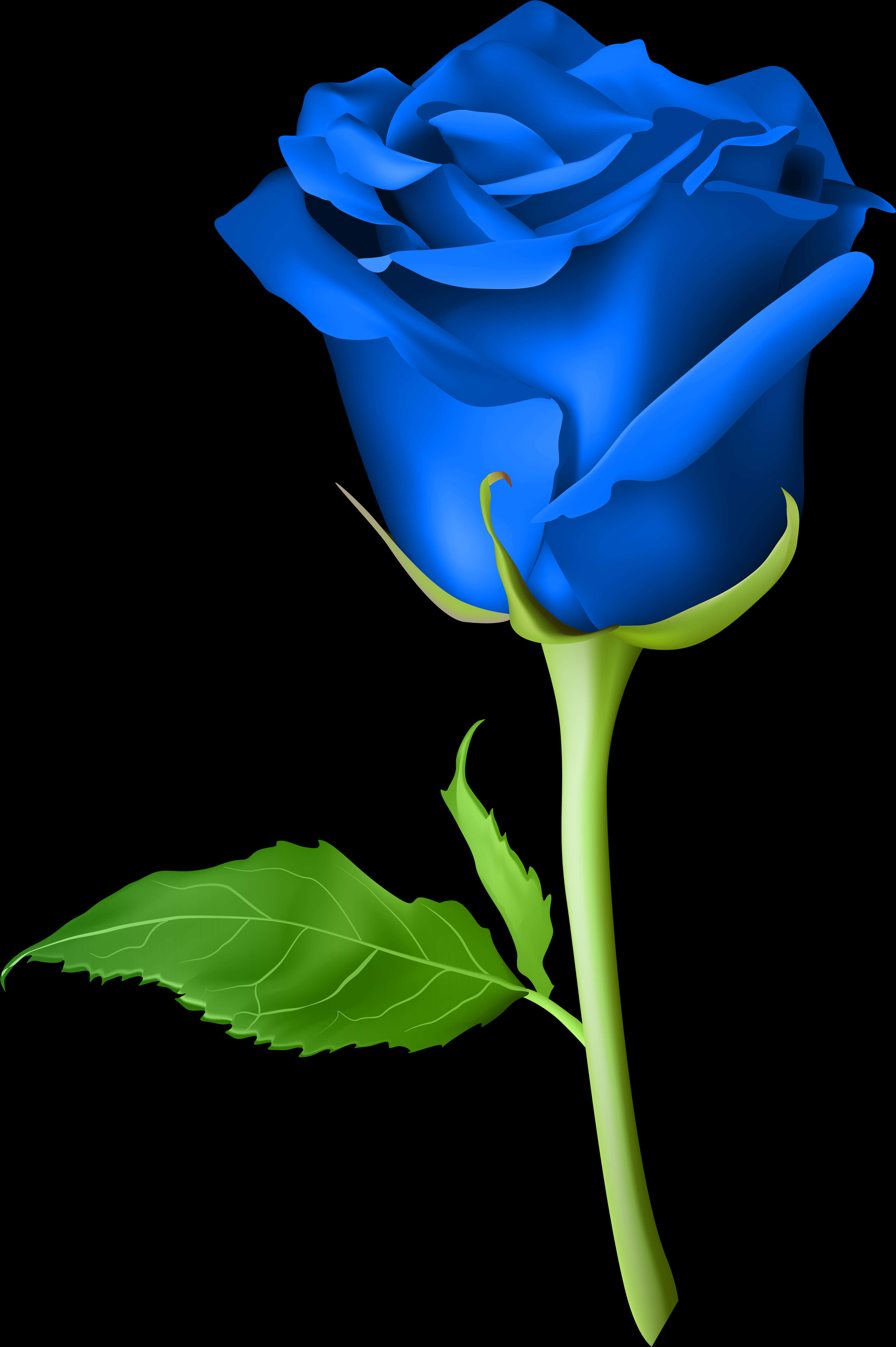 A Blue Rose With Green Leaves