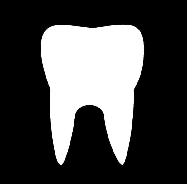 Tooth Logo With Black Circle