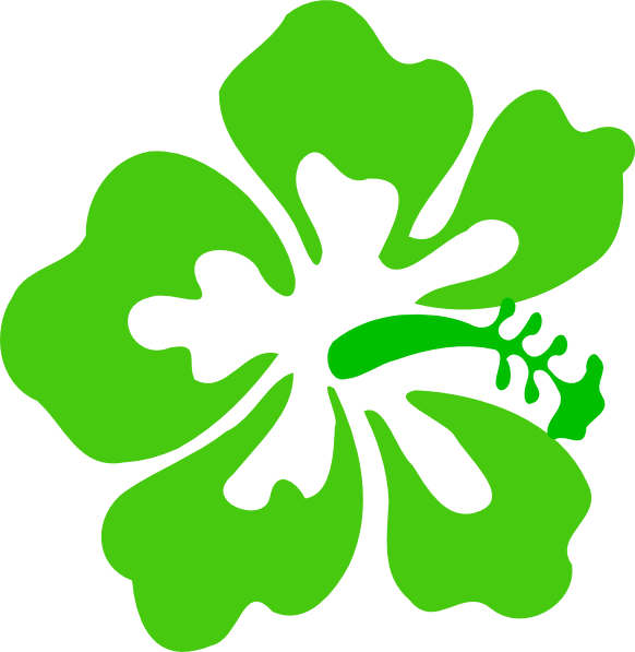 A Green Flower With Black Background