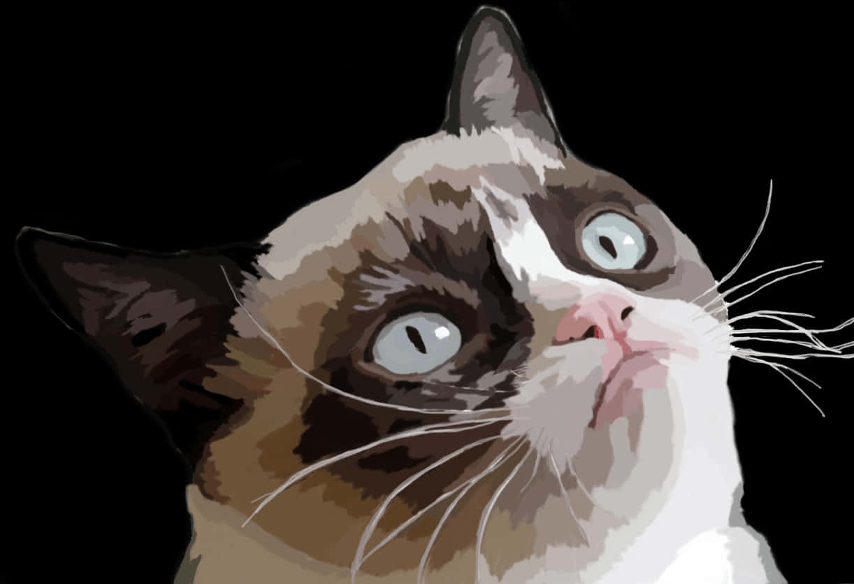 Close-up Of Grumpy Cat