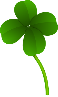 A Green Four Leaf Clover