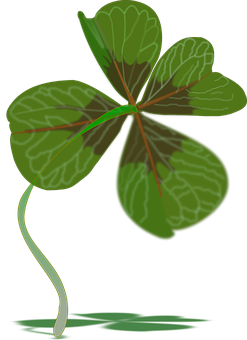 A Four Leaf Clover With A Black Background