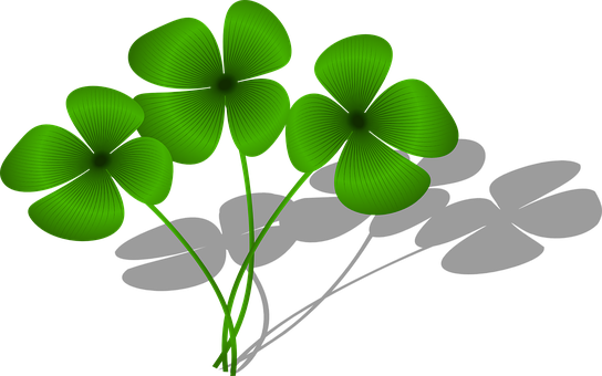 A Group Of Green Flowers