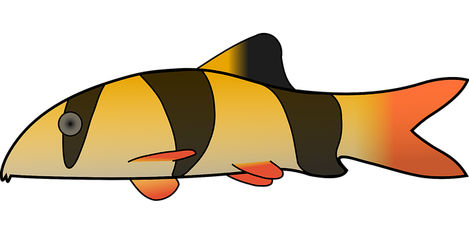 A Yellow And Black Striped Fish