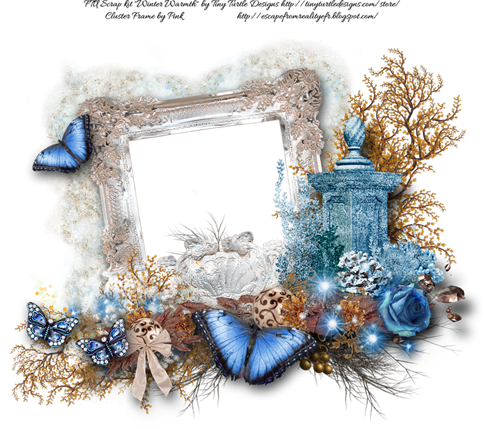 A Picture Frame With Blue Butterflies And Flowers