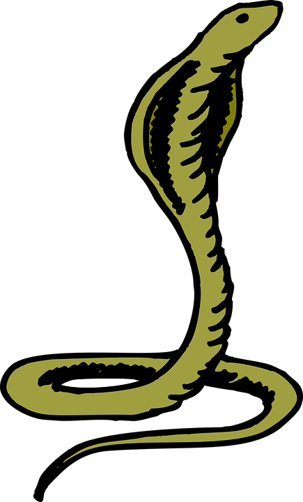 A Cartoon Of A Cobra