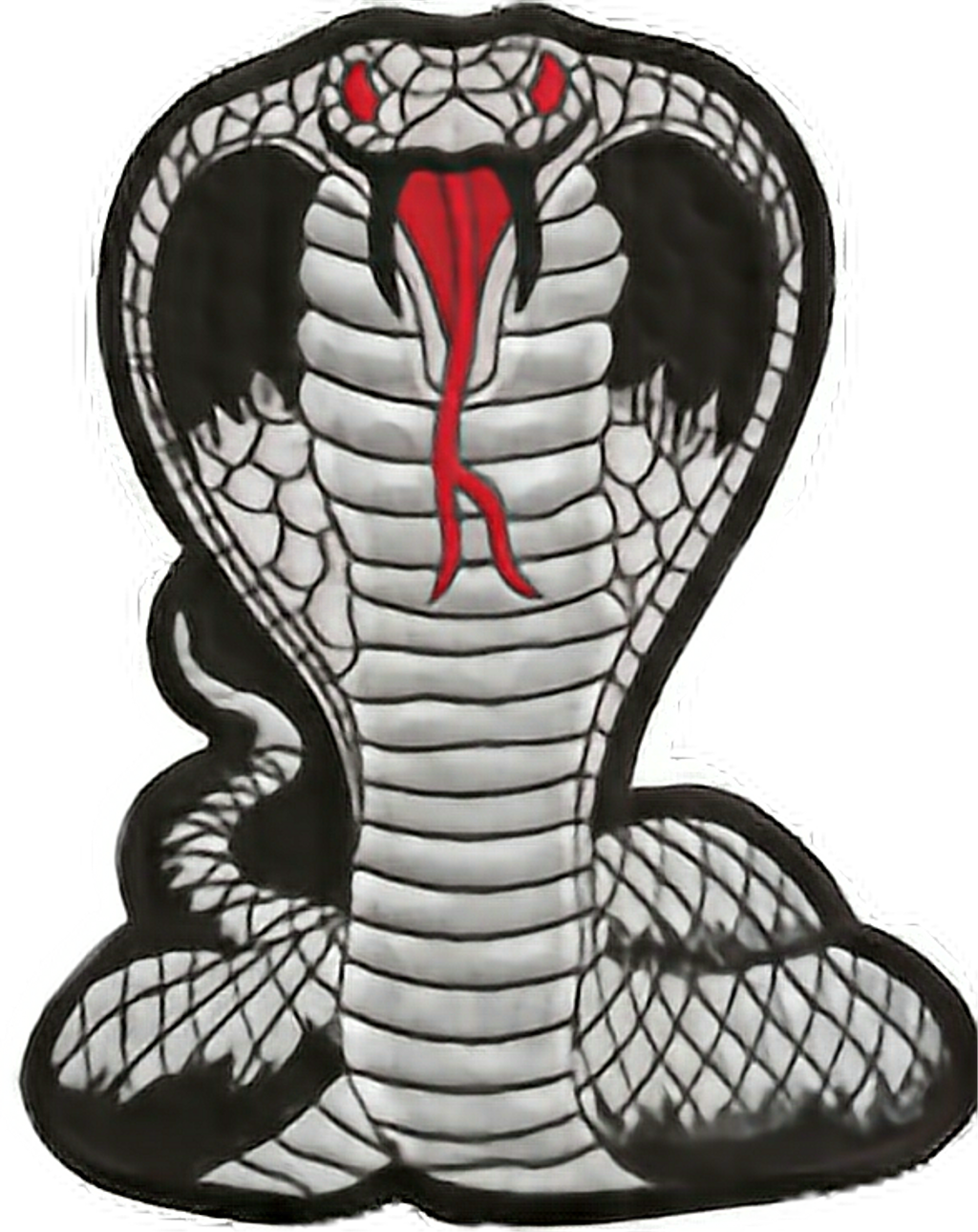 A Black And White Snake With Red Tongue