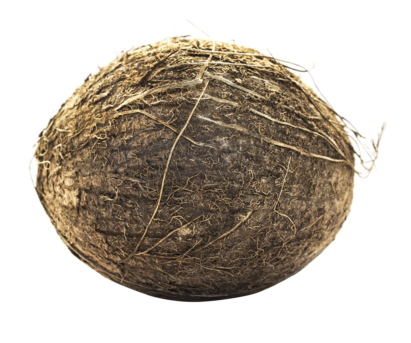A Close Up Of A Coconut
