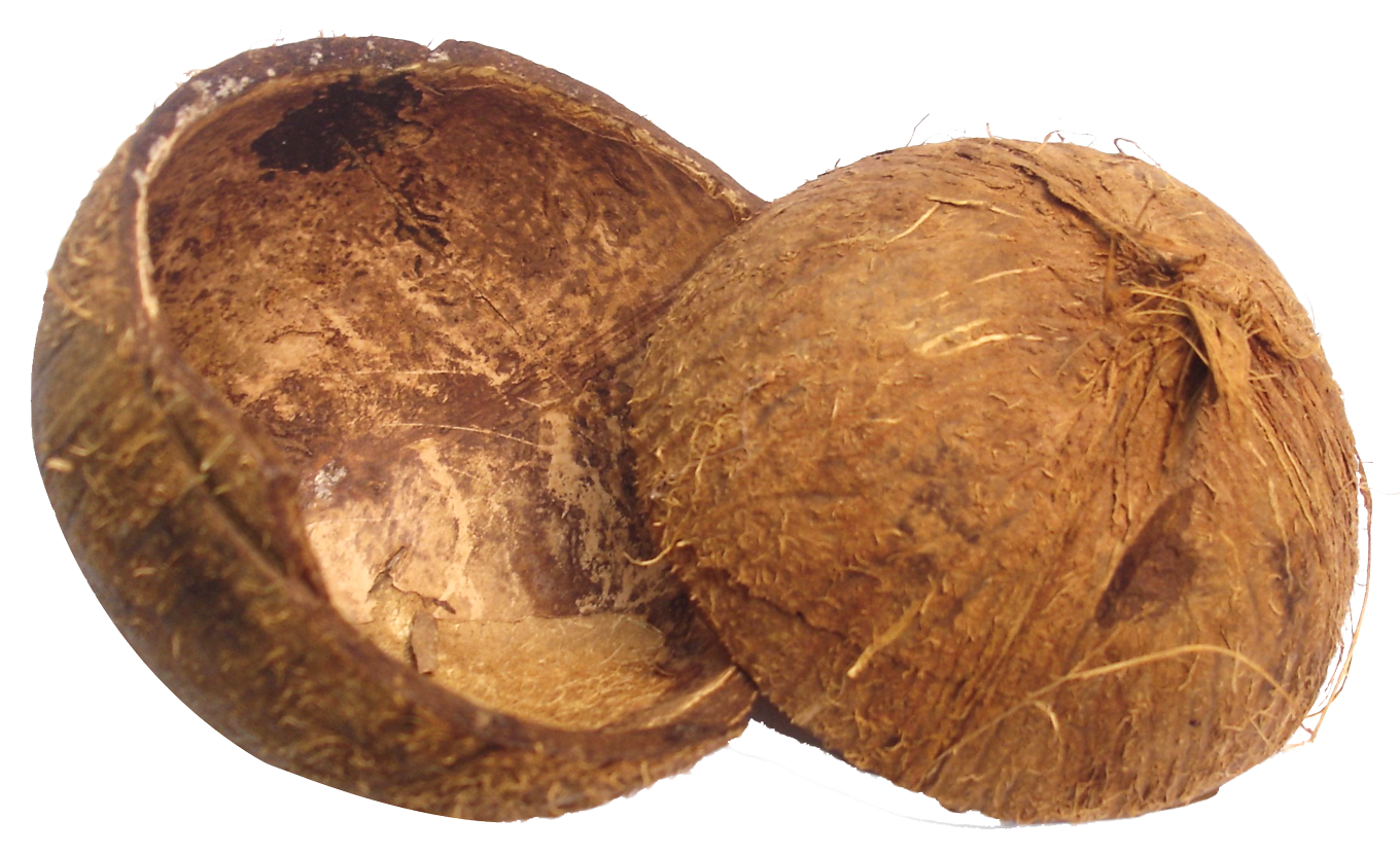 A Coconut Shell With A Black Background