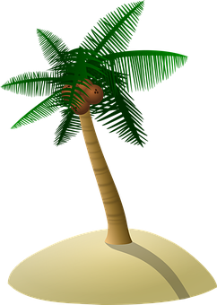 A Palm Tree On A Sand Island