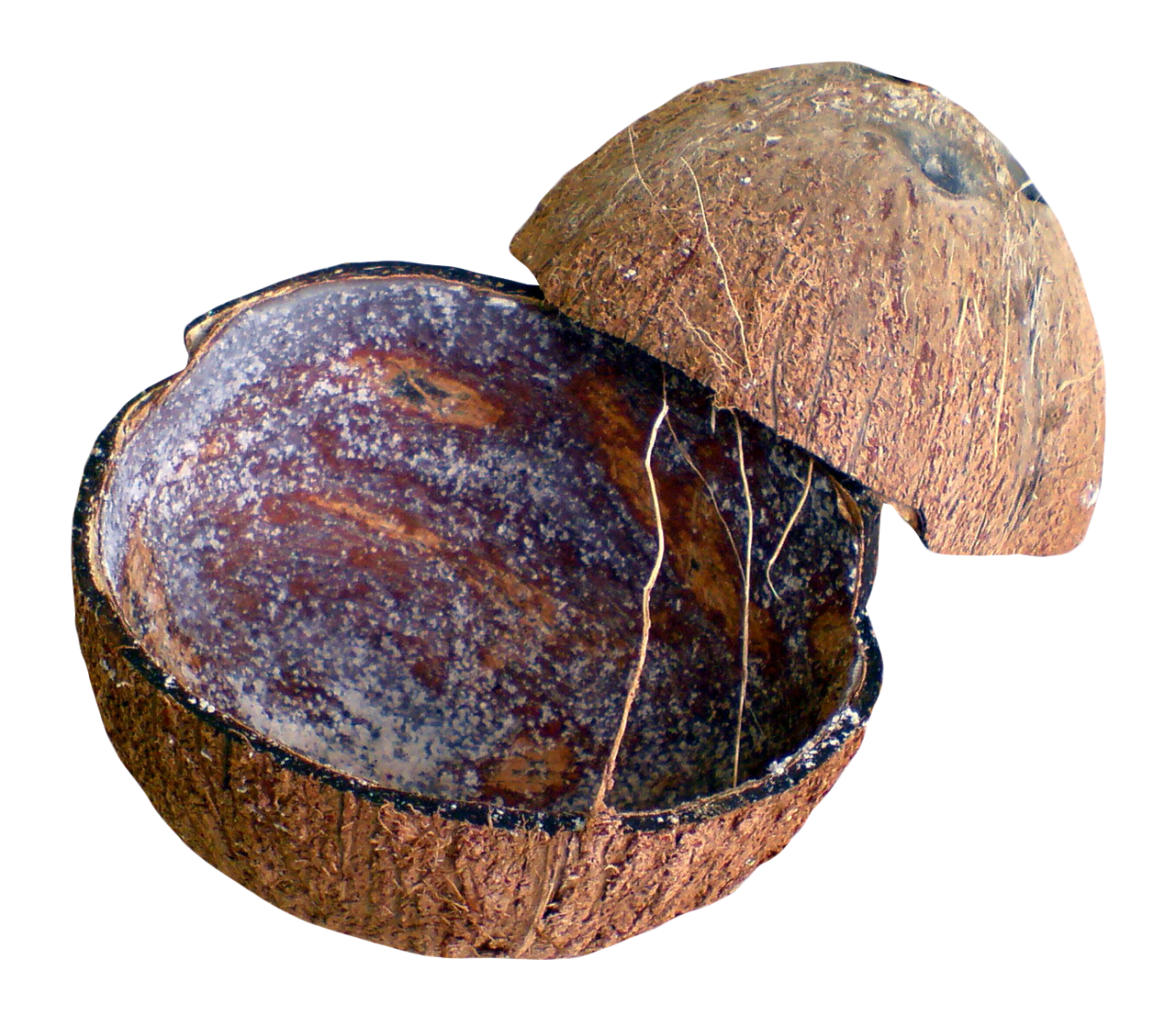 A Coconut Shell With A Lid Open